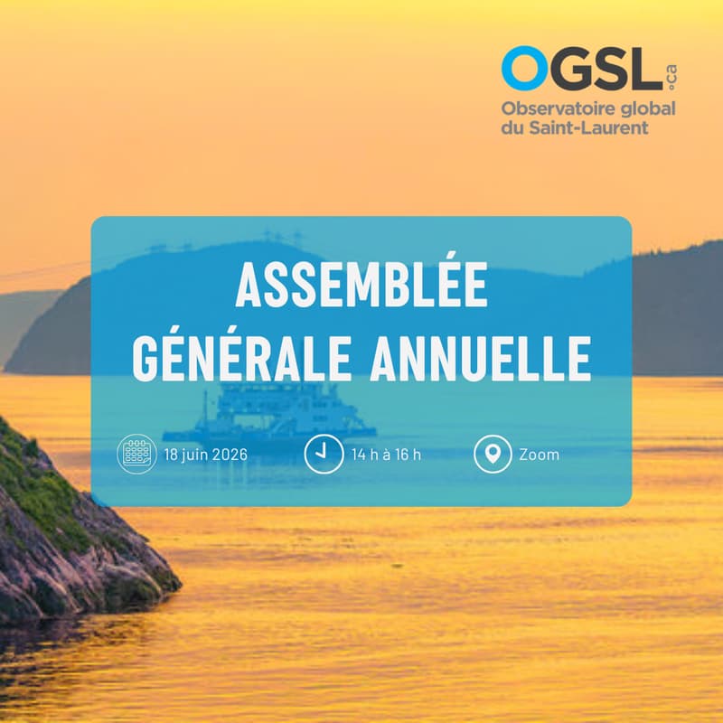 Cover Image for Assemblée générale de l'OGSL