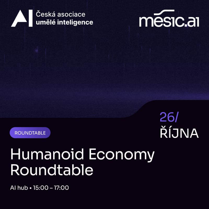 Cover Image for Humanoid Economy Roundtable