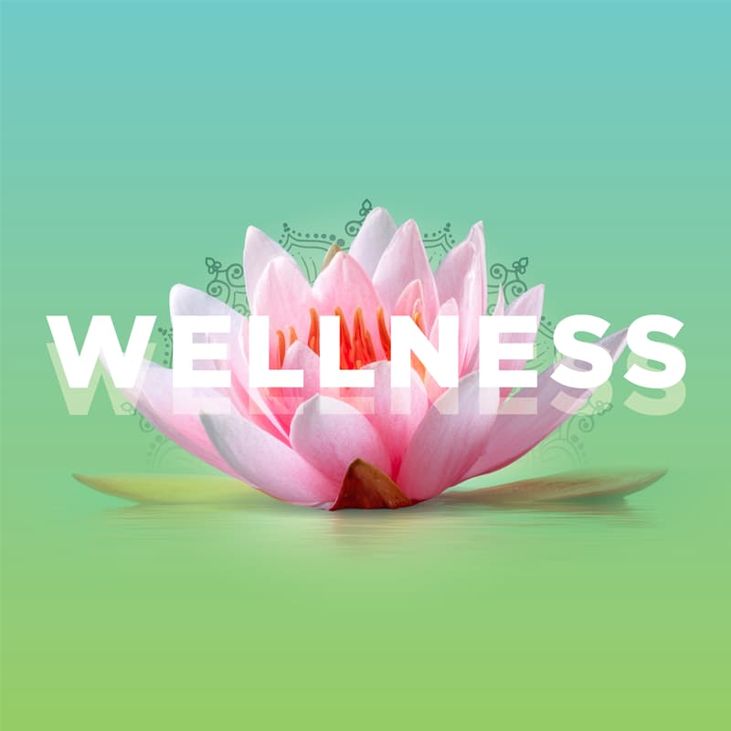 Cover Image for Santa Fe Small Business Navigator - Industry Exchange: WELLNESS
