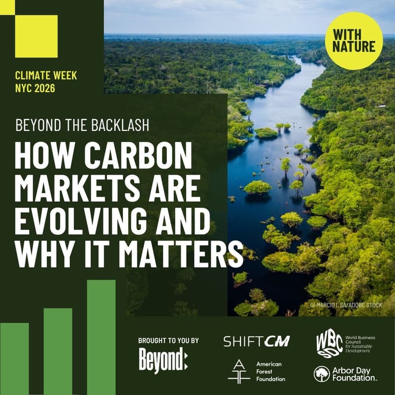 Cover Image for Beyond the Backlash - How Carbon Markets Are Evolving and Why It Matters