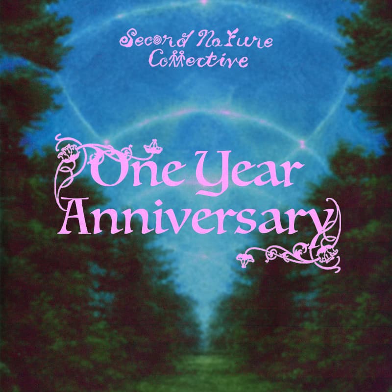 Cover Image for SNC One Year Anniversary!