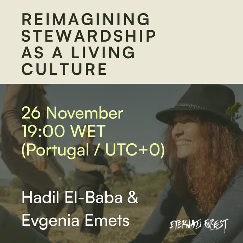 Cover Image for Reimagining Stewardship as a Living Culture