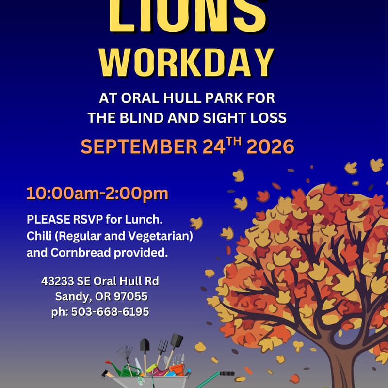 Cover Image for Lions Workday