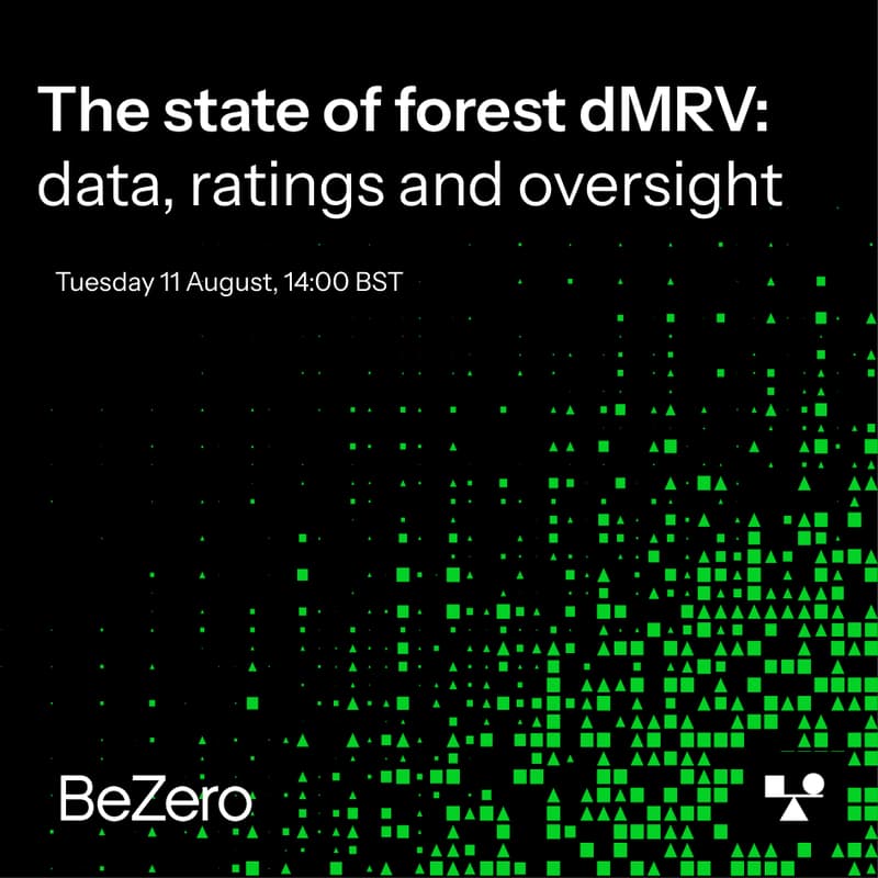 Cover Image for The state of forest dMRV: data, ratings and oversight