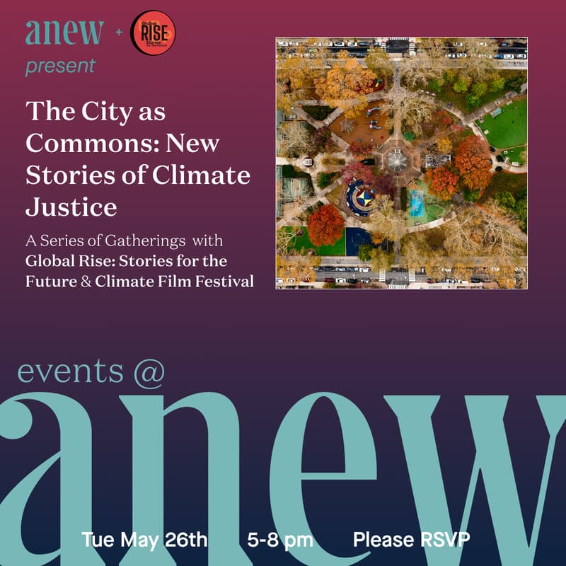 Cover Image for The City as Commons: New Stories of Climate Justice