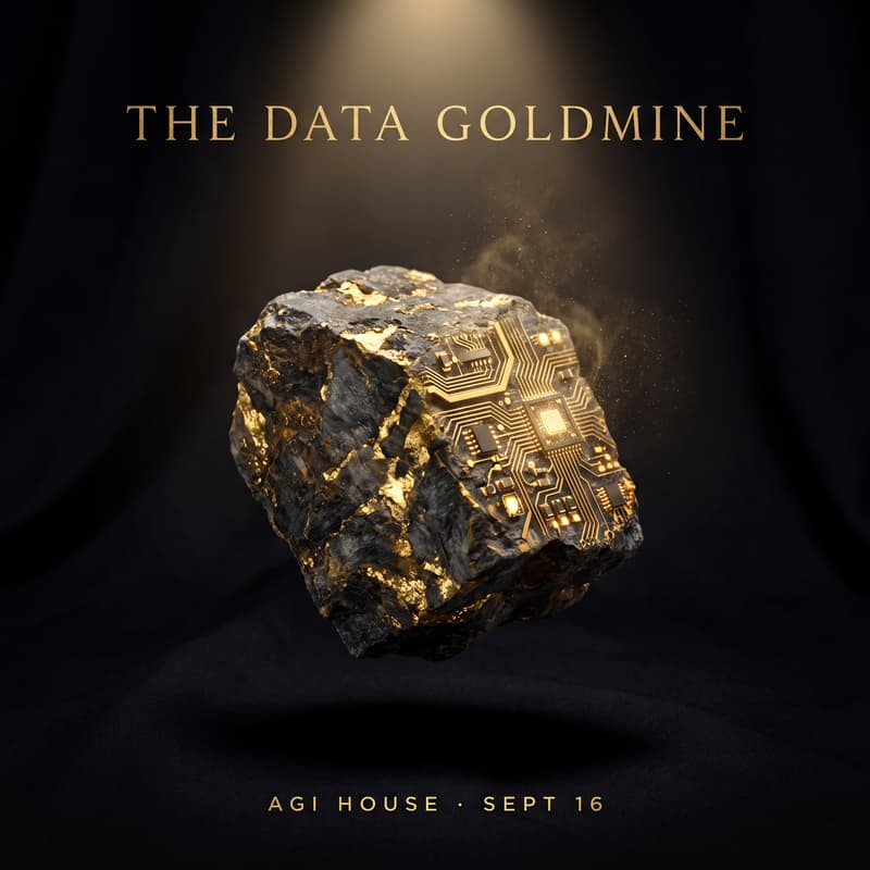Cover Image for The Data Goldmine