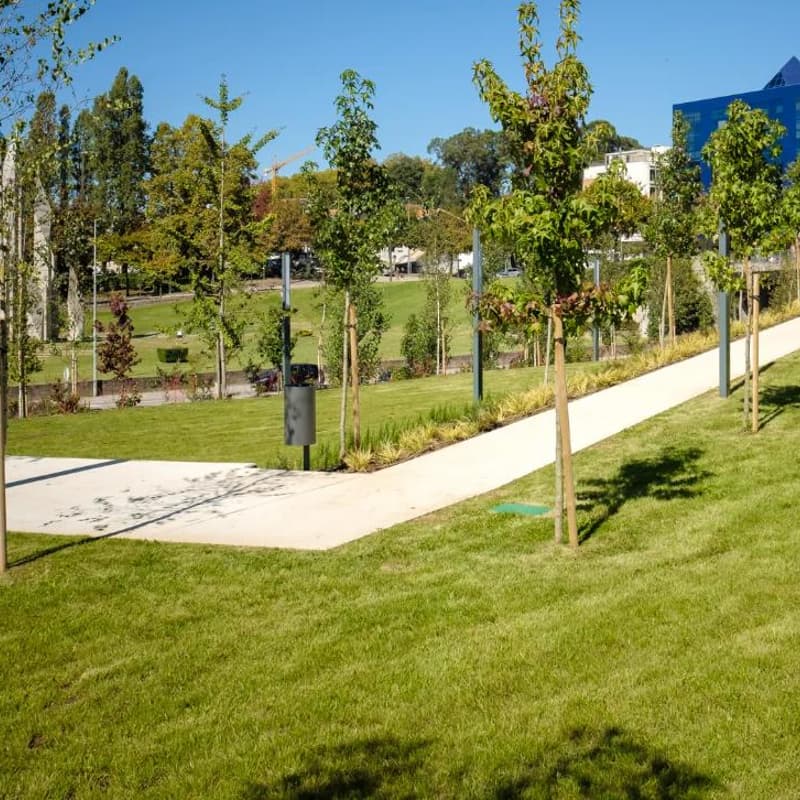 Cover Image for Passeio Maia | Parque Central da Maia