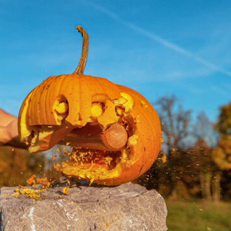 Cover Image for Smashing Pumpkinheads