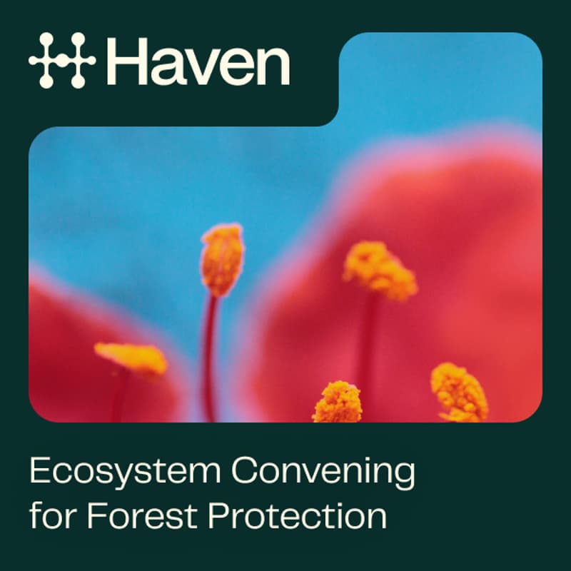 Cover Image for Haven | Ecosystem Convening for Forest Protection