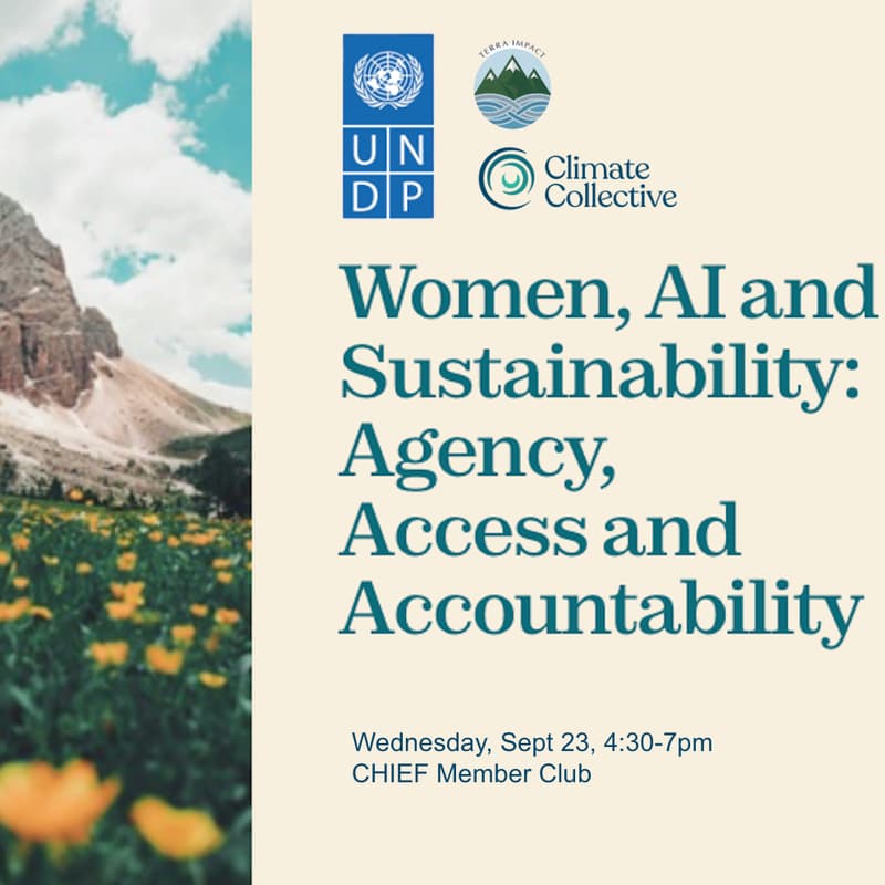 Cover Image for Women, AI and Sustainability: Agency, Access and Accountability