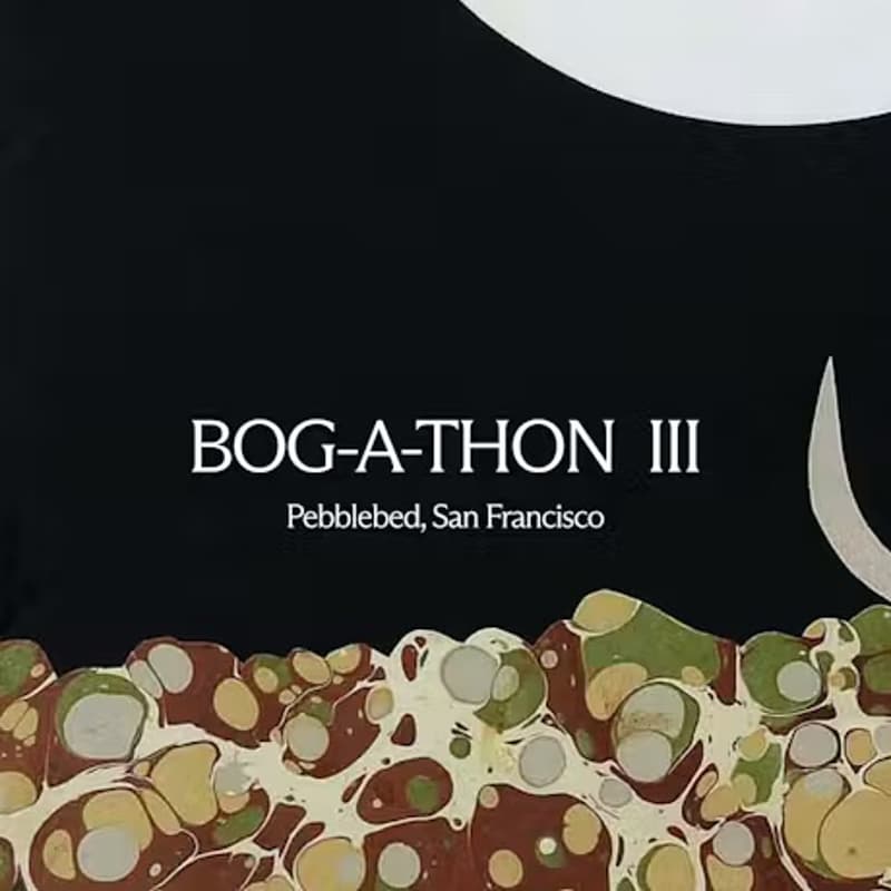 Cover Image for Bog-a-thon III — rust, incremental comp, & agents