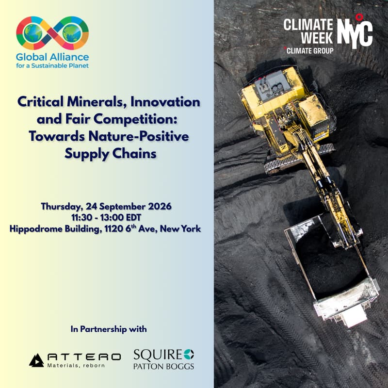Cover Image for Critical Minerals, Innovation and Fair Competition: Towards Nature-Positive Supply Chains
