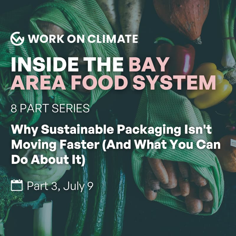 Cover Image for Why Sustainable Packaging Isn't Moving Faster (And What You Can Do About It)