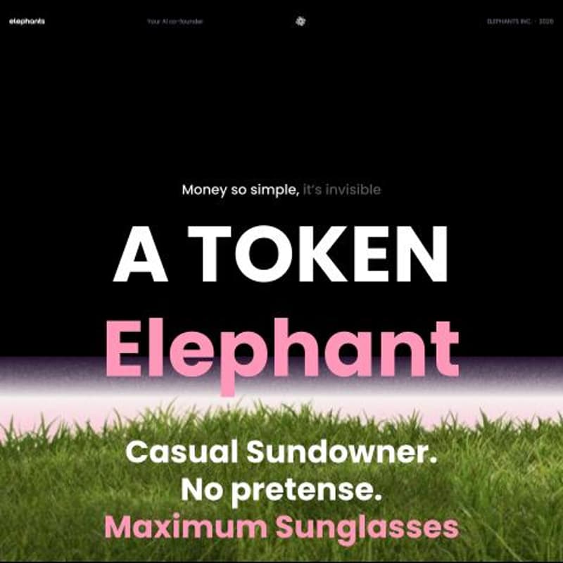 Cover Image for A TOKEN ELEPHANT