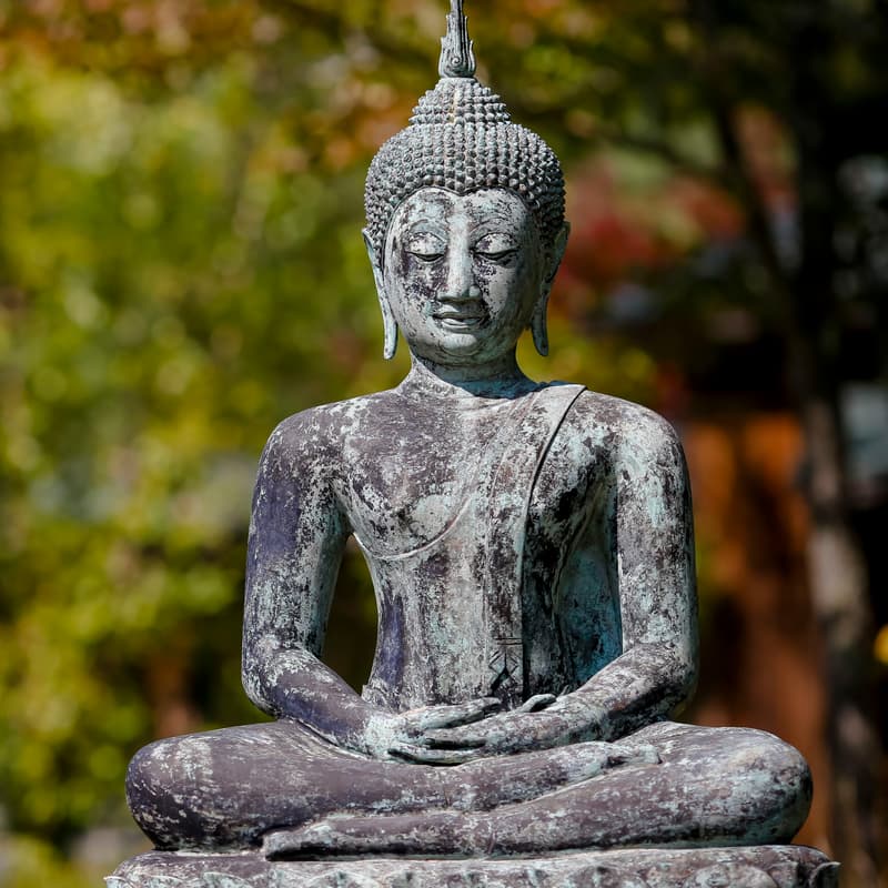 Cover Image for "Tracing Mindfulness Back to Its Sources": T. T. and W. F. Chao Workshop with Bhikkhunī Dhammadinnā and Paul Harrison