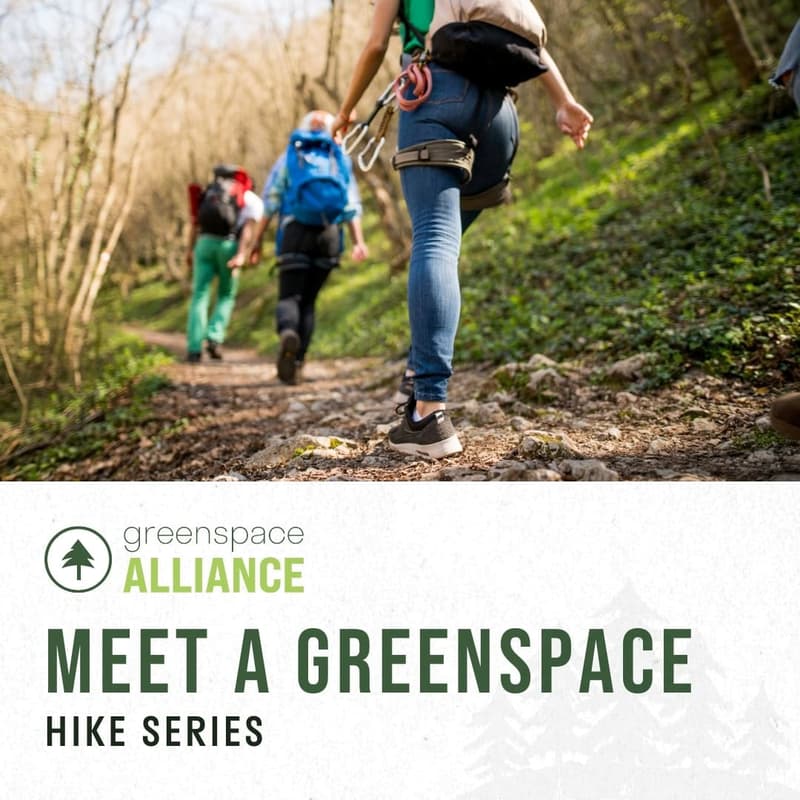Cover Image for Meet a Greenspace Hike at Goltra Preserve