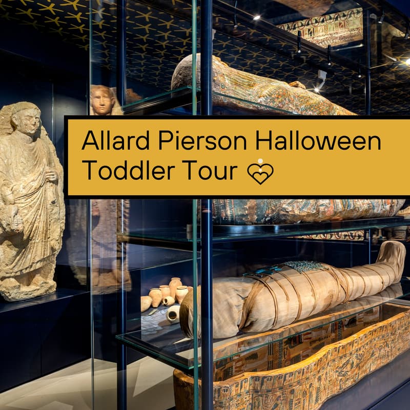 Cover Image for Allard Pierson Halloween Toddler Tour