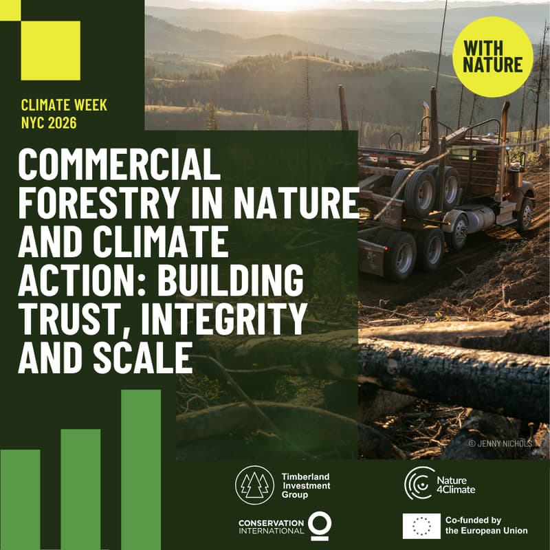 Cover Image for Commercial Forestry in Nature and Climate Action: Building Trust, Integrity and Scale