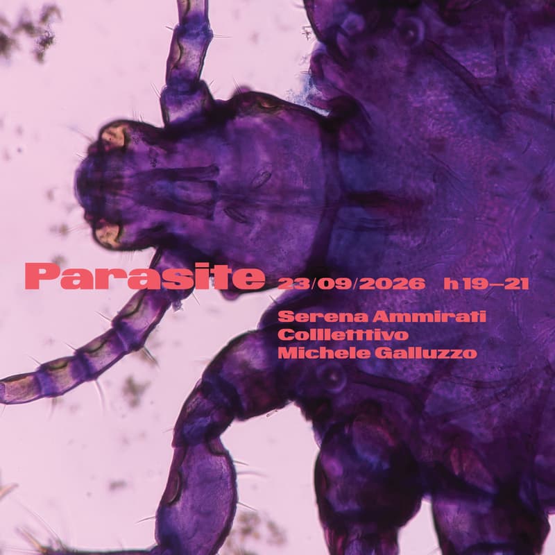 Cover Image for TypespottingTalks: Parasite