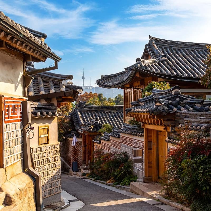 Cover Image for [ICML Run Club] Bukchon Hanok Village and Gyeongbokgung Palace