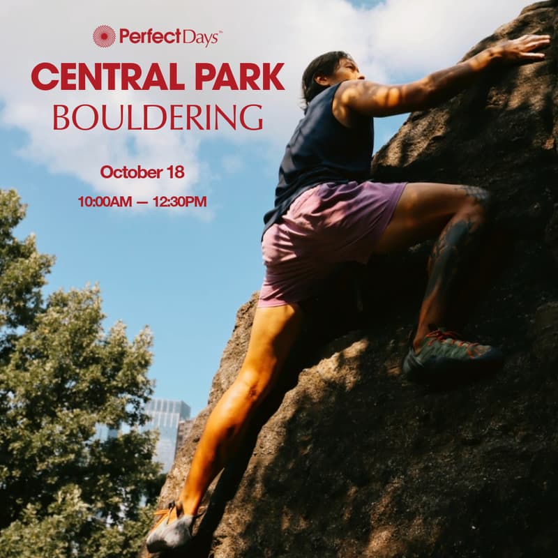 Cover Image for Perfect Days: Central Park Bouldering