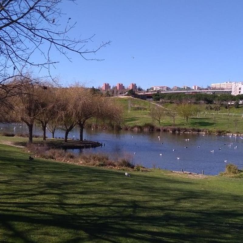 Cover Image for Passeio Almada | Parque da Paz