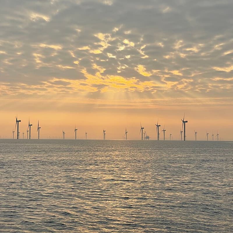 Cover Image for Navigating the Horizon: Perspectives on Delivering Socioeconomic Benefits of Offshore Wind