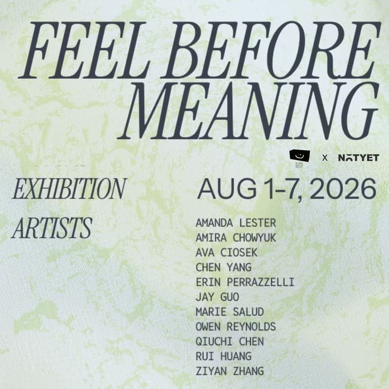 Cover Image for Feel Before Meaning— Exhibition Viewing