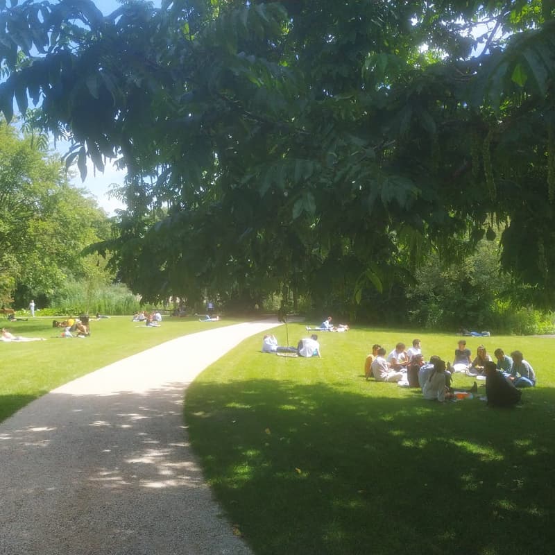 Cover Image for Creative Jam & Picnic - Vondelpark