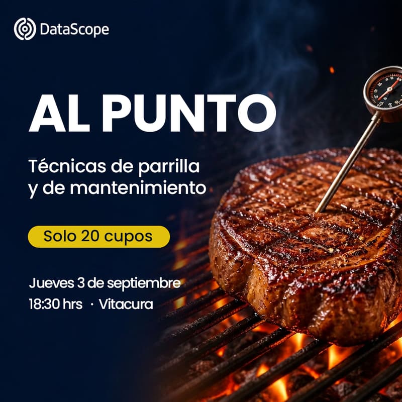 Cover Image for Al Punto: técnicas de parrilla y de mantenimiento