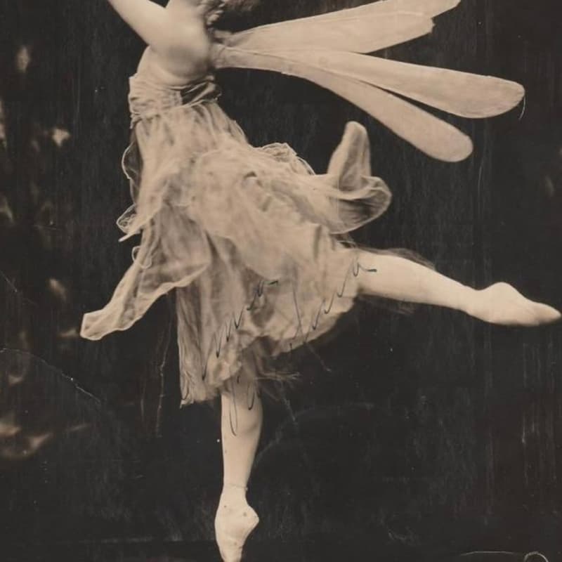 Cover Image for Adult Ballet Workshop- Butterfly Transformation
