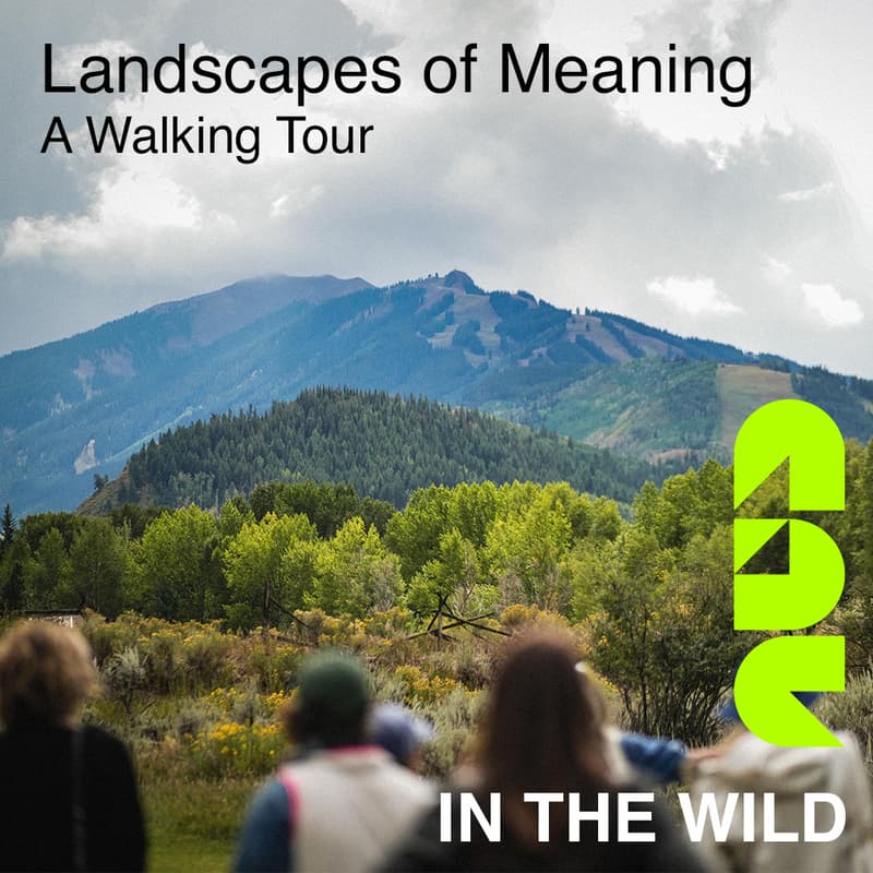 Cover Image for Landscapes of Meaning