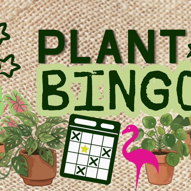 Cover Image for BOTANICAL BINGO + HAPPY HOUR 🌿