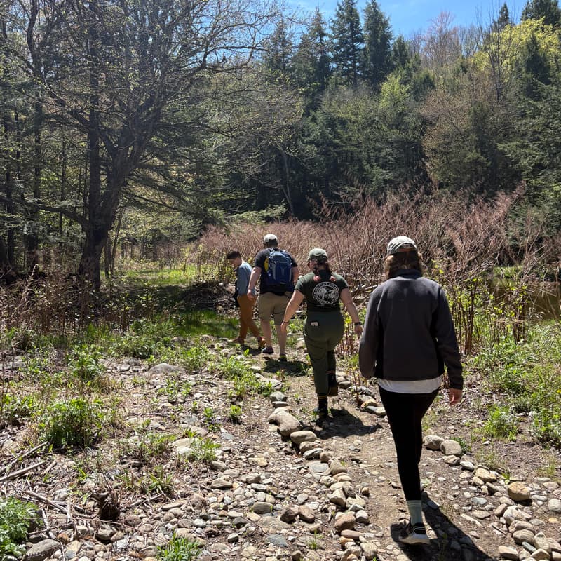 Cover Image for Thursday Night Hike 7/23 - South Deerfield, Western Massachusetts