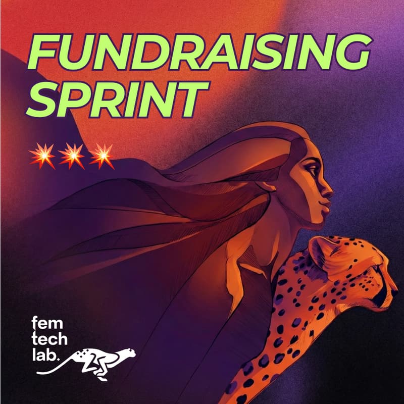 Cover Image for FUNDRAISING SPRINT (Intro Call)