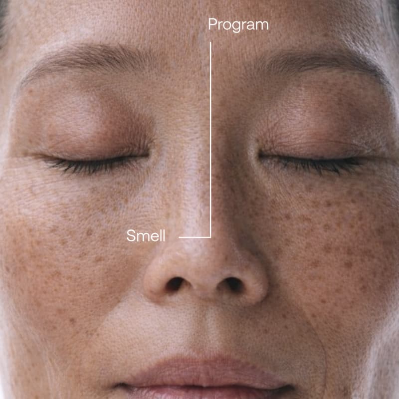Cover Image for The Forgotten Sense: Why Smell Shapes Emotion, Memory & Wellbeing
