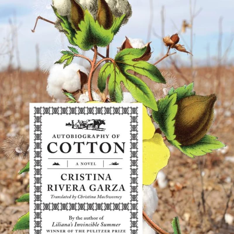 Cover Image for November Bookclub: Autobiography of Cotton