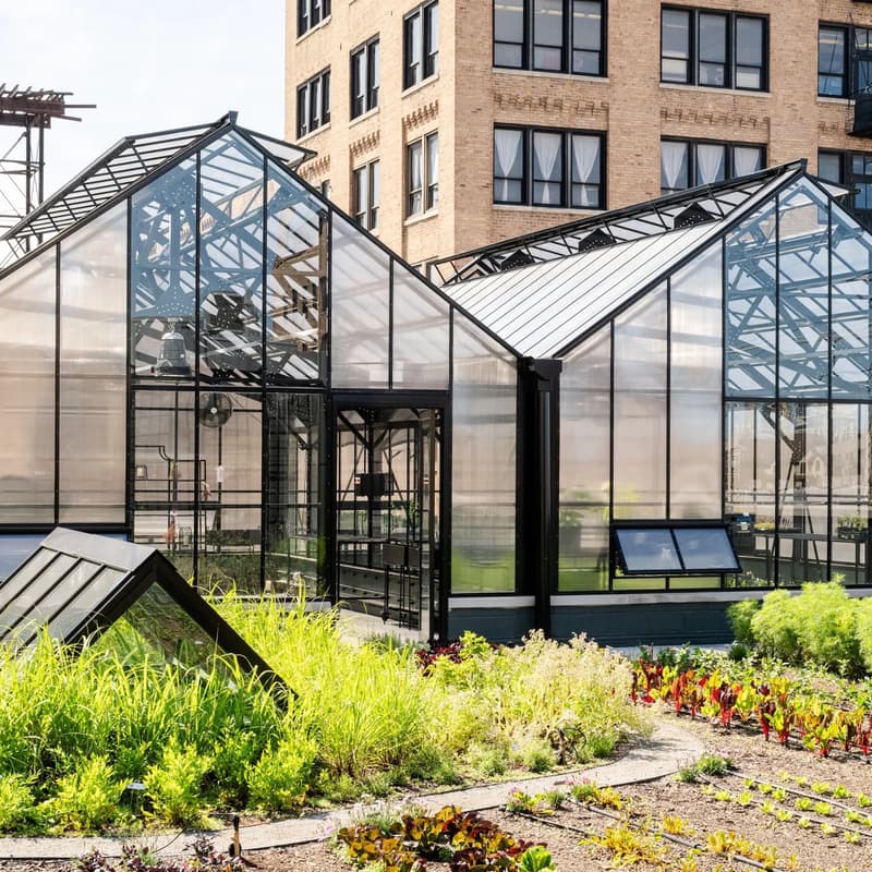 Cover Image for Lunch & Learn: Sustainable Food Systems with The Roof Crop