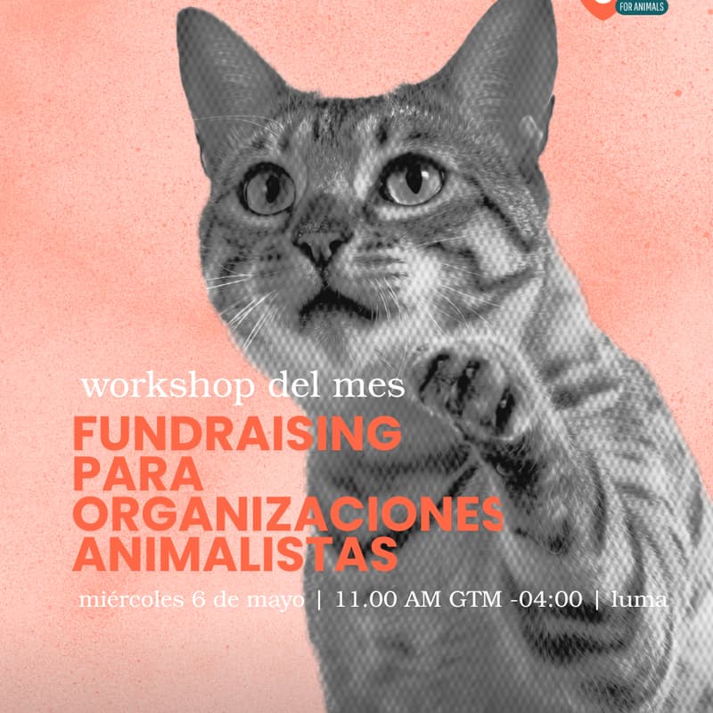 Cover Image for Fundraising Para Organizaciones Animalistas