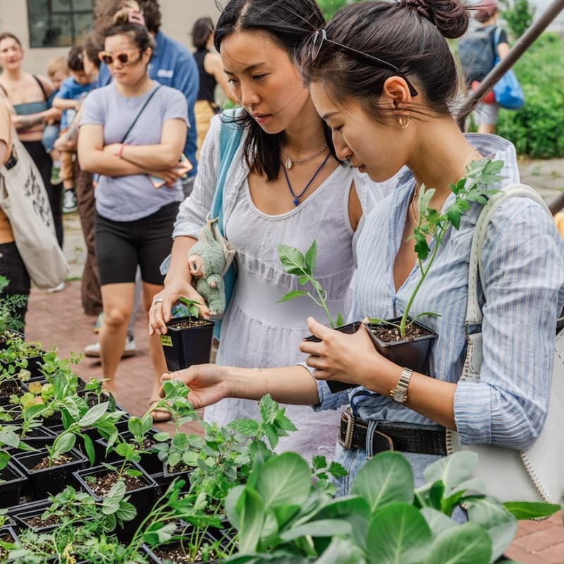 Cover Image for Spring Fest: Open Farm Day & Plant Sale at Brooklyn Grange