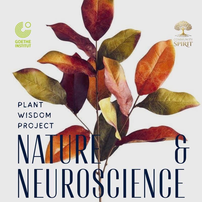 Cover Image for Nature & Neuroscience Workshop