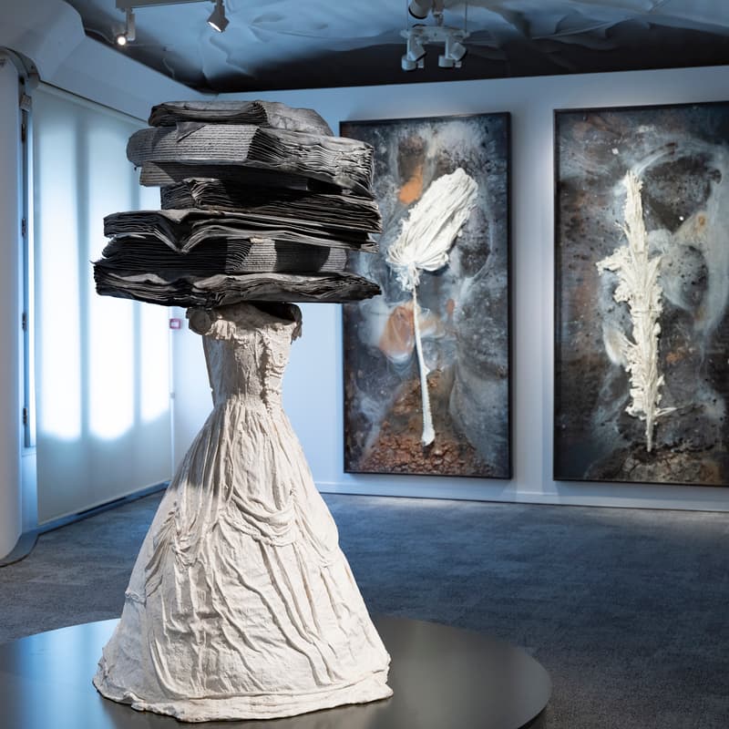 Cover Image for Anselm Kiefer - Exhibition Tour