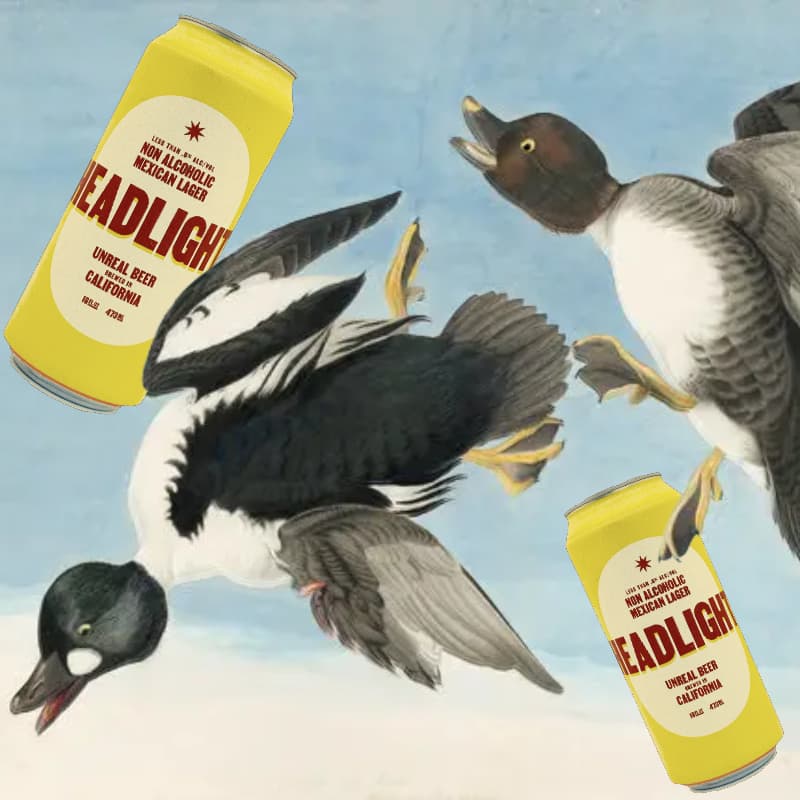 Cover Image for Birds & (NA) Beers | Pasadena Audubon Society Happy Hour