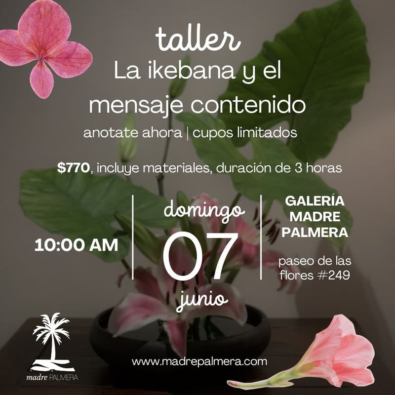 Cover Image for La ikebana y el mensaje contenido