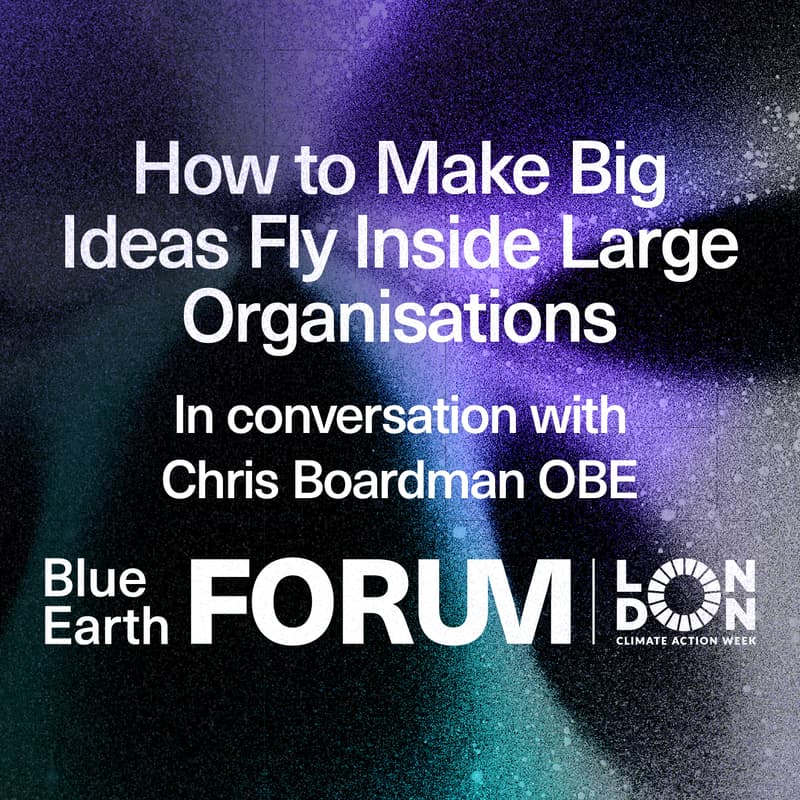 Cover Image for How to Make Big Ideas Fly Inside Large Organisations