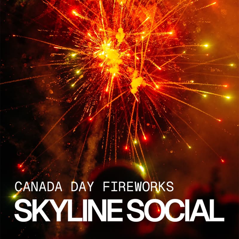 Cover Image for Skyline Social