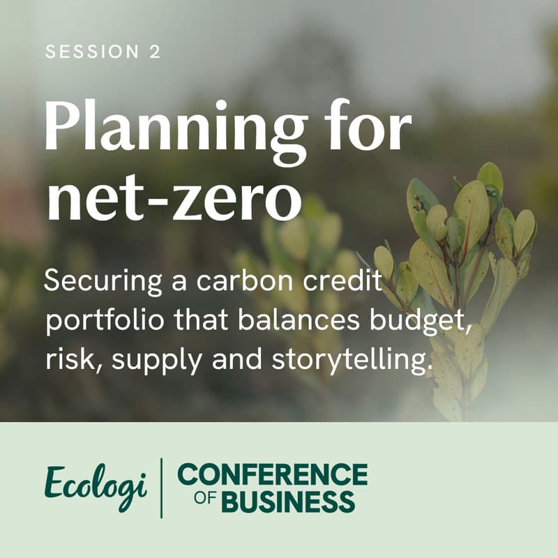Cover Image for Planning for Net Zero: securing a carbon credit portfolio that balances budget, risk, supply and storytelling