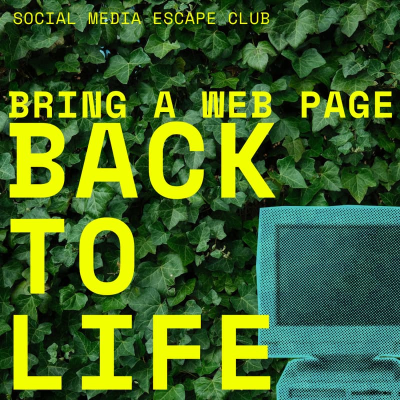 Cover Image for BRING A WEB PAGE BACK TO LIFE (MONDAY)