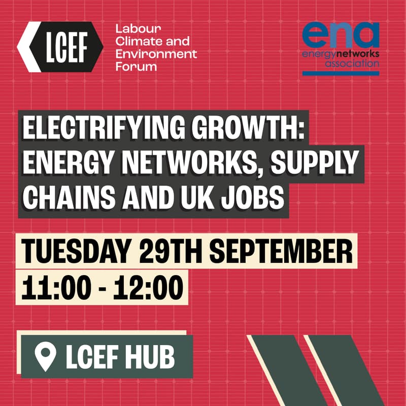 Cover Image for Electrifying Growth: Energy Networks, Supply Chains and UK Jobs