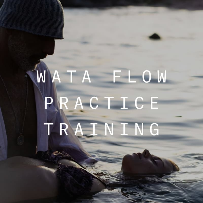 Cover Image for Immersive Journey: WATA FLOW